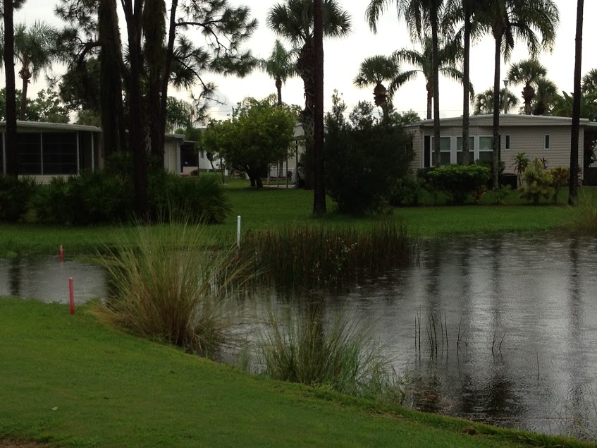 High Water 12th Hole