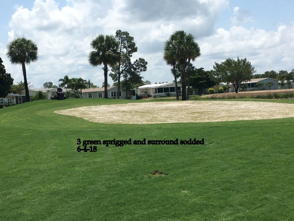 0108-Golf Rejuv-20180620-#3 Green Sprigged and Surround Sodded