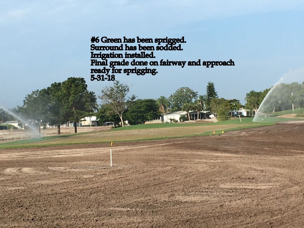 0118-Golf Rejuv – 20180620 – #6 Green has been sprigged and surround sodded
