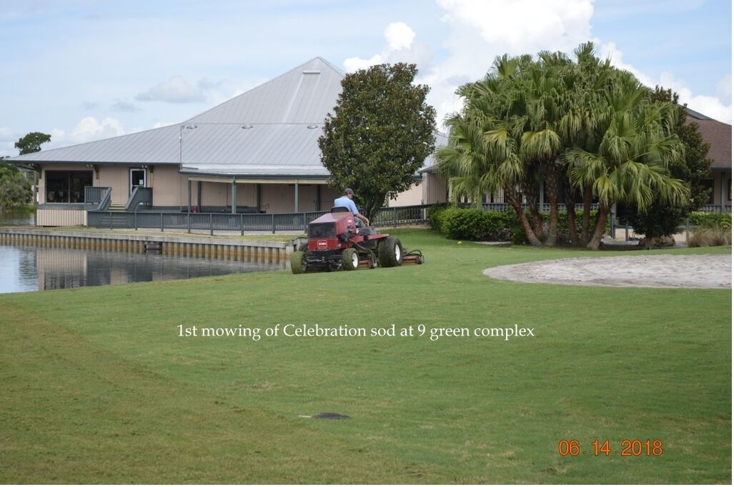 0153-Golf Rejuv – 20180614 – First mowing of Celebration Sod at #5 Green complex