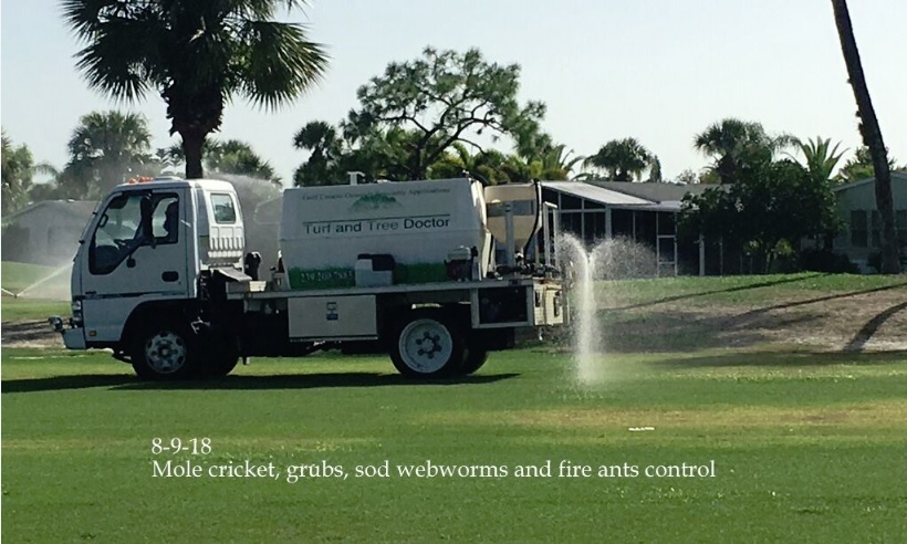 0186-Golf Rejuv – 20180816 – Mole cricket, grubs, sod web worms and fire ants control