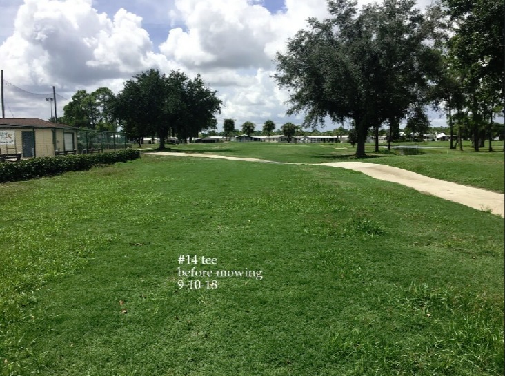 0220-Golf Rejuv – 20180912 – #14 Tee Before Mowing