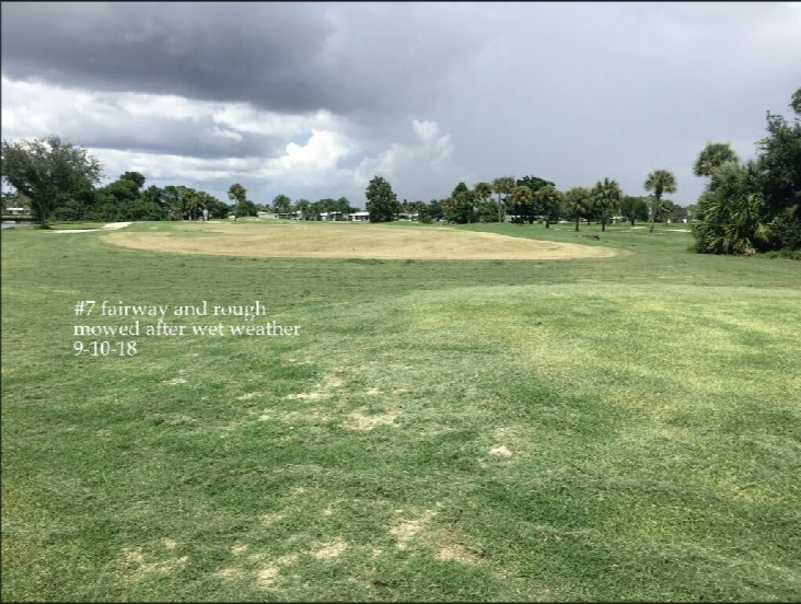 0226-Golf Rejuv – 20180912 – #7 Fairway, mowed after wet weather