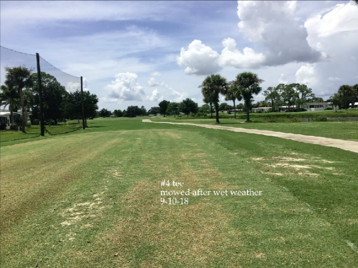 0229-Golf Rejuv – 20180912 – #4 Tee, mowed after wet weather