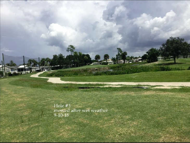 0230-Golf Rejuv – 20180912 – #3 Hole, mowed after wet weather