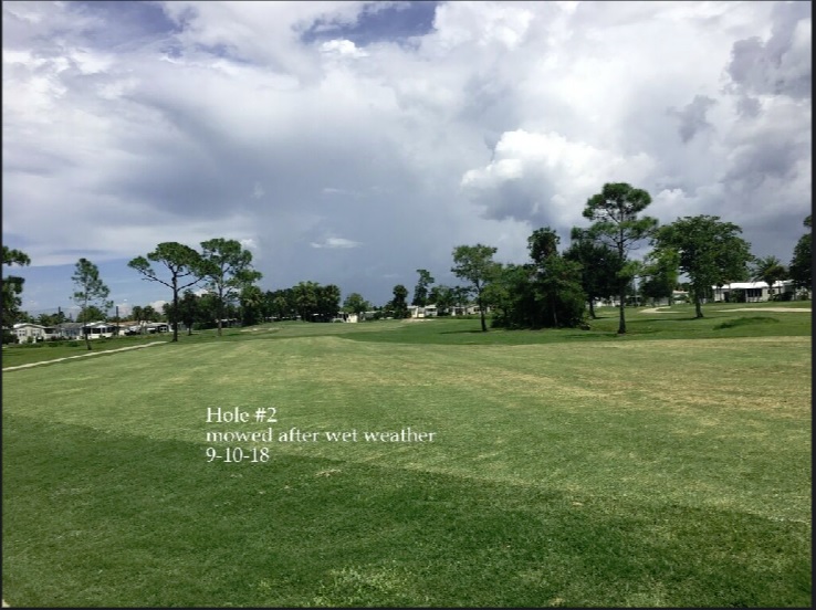 0231-Golf Rejuv – 20180912 – #2 Hole, mowed after wet weather