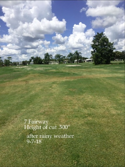 0234-Golf Rejuv – 20180912 – #7 Fairway after wet weather