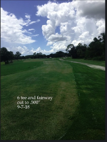 0236-Golf Rejuv – 20180912 – #6 Tee and Fairway